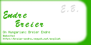 endre breier business card